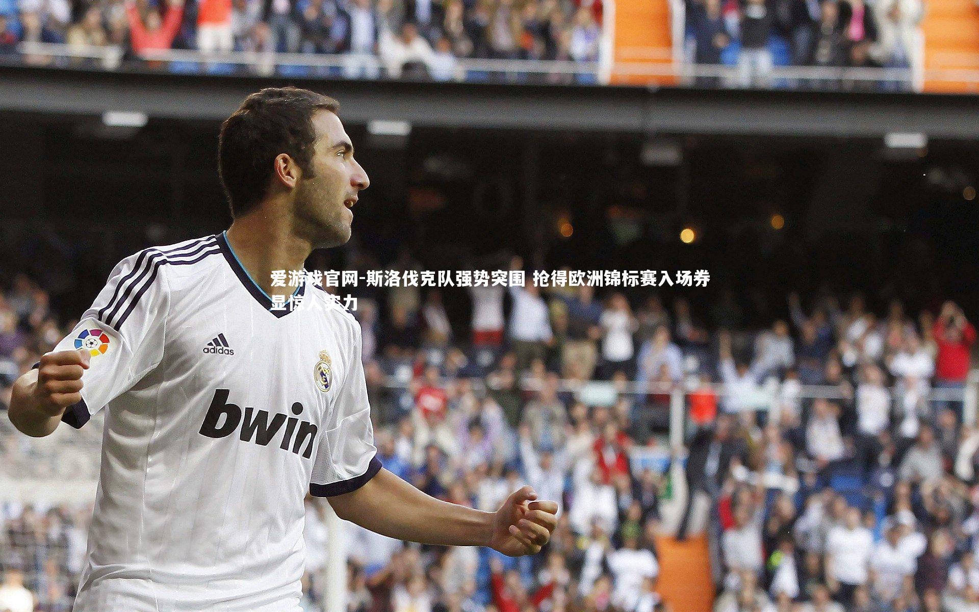 爱游戏官网-斯洛伐克队强势突围 抢得欧洲锦标赛入场券显惊人实力